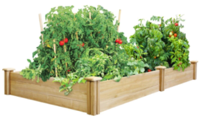 Planter Bed