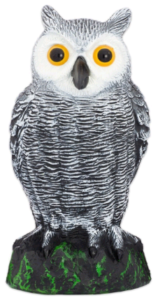 Owl decoy